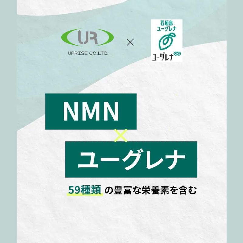 GREEN SENSE NMN9000 euglena 41.85g(90カプセル) (健康補助食品) (NMN) (ユーグレナ) (国内正規品) |  LINEブランドカタログ