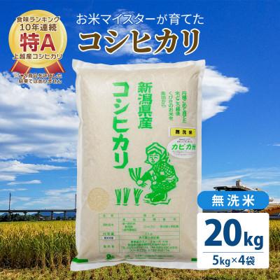 ふるさと納税 上越市 令和5年産 お米マイスターが育てた上越産コシヒカリ20kg(5kg×4)無洗米　精米