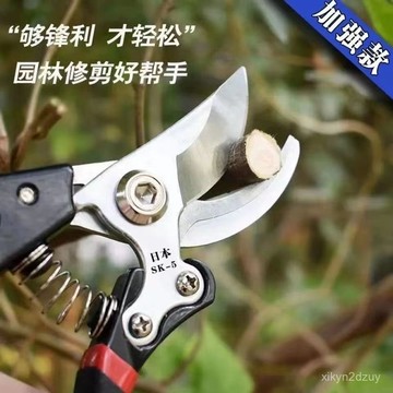 💥在臺24H💥特快德國SK5園藝剪不銹鋼省力強力粗枝剪樹枝專用剪子園林修枝剪 2GSD