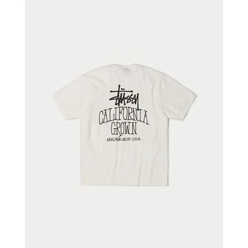 【日貨代購CITY】2025AW STUSSY CALI GROWN TEE PIGMENT DYED 加州 水洗 短T