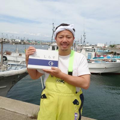 ふるさと納税 南知多町 日間賀島直送　釜揚げしらす　2kg入り