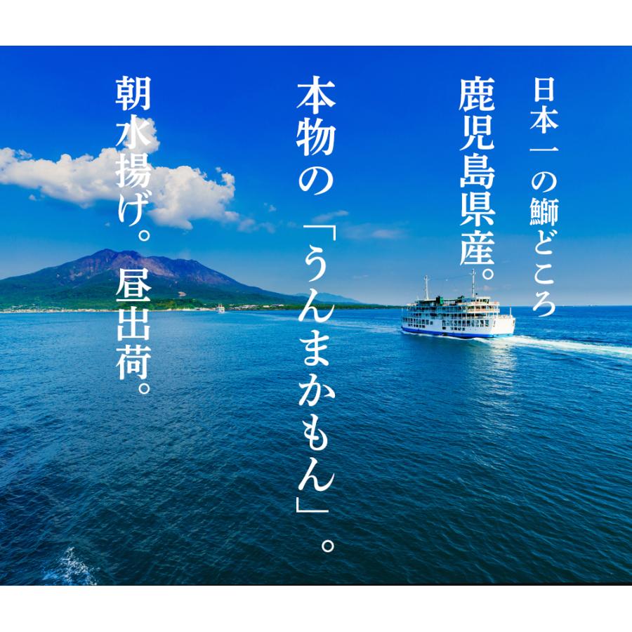 送料無料 ぶり 切り身 鹿児島県産 2パック セット ブリ