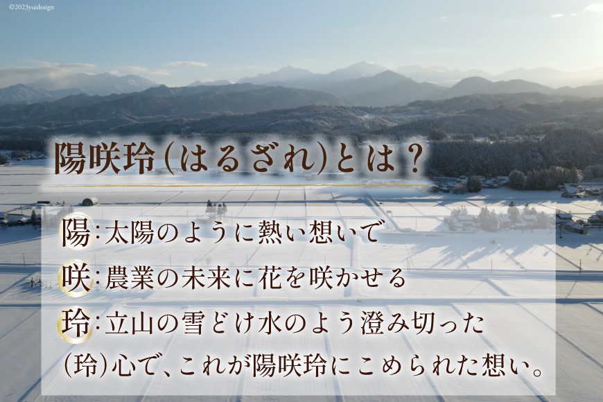 特別栽培米 コシヒカリ ヒロシノキモチ 玄米 5kg [陽咲玲 富山県 立山町 55590395] 米 お米 コメ ご飯 ごはん 富山県産