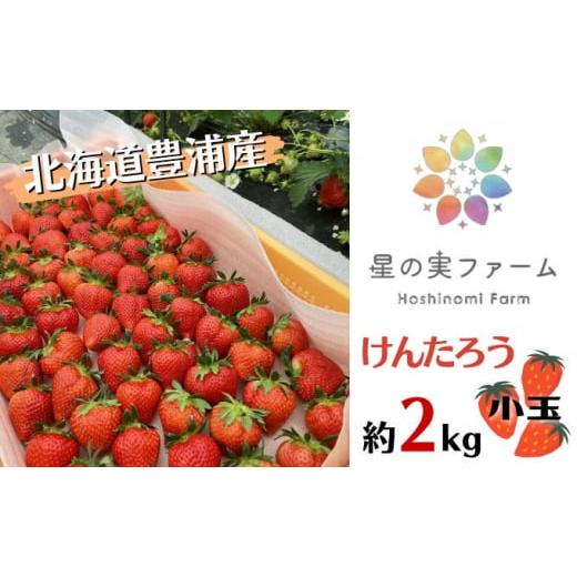 ふるさと納税 北海道 豊浦町 2024年5月上旬から出荷 北海道 豊浦 いちご 小玉 けんたろう 250g×8パック 約2kg 農園直送 採れたて 新鮮 産直 苺 ストロベリー