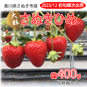 年内発送 いちご さぬきひめ 大粒 400g いちご 旬 いちご 化粧箱入り いちご 贈答用 いちご 12月出荷 いちご 年内最終28日 いちご