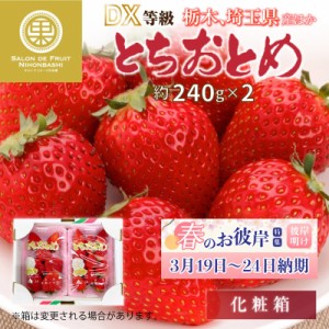 [予約 2024年1月5日-1月30日の納品] とちおとめ 約240g×2 サイズ DX または G 栃木県産他 果実専用箱いちご用