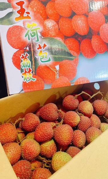 ??高雄 大樹 頂級大果 爆汁 玉荷包｜台灣荔枝禮盒
