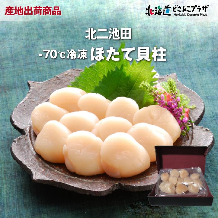 産地出荷「-70℃ 帆立貝柱　500ｇ」冷凍 送料込 お歳暮