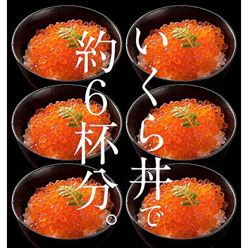 港ダイニングしおそう いくら醤油漬け 500g （250g×2パック） 紅鮭イクラ いくら イクラ 小粒 イクラ丼 軍艦巻き ご自宅用 ご家庭用 海鮮