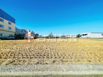 大雅近神林路方正漂亮農地｜台中市大雅區自強段