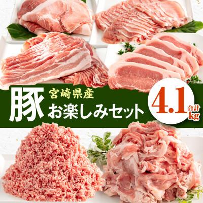 ふるさと納税 宮崎市 宮崎県産豚 お楽しみセット 計4.1kg