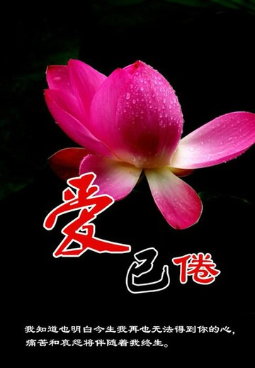 【電子書】爱已倦