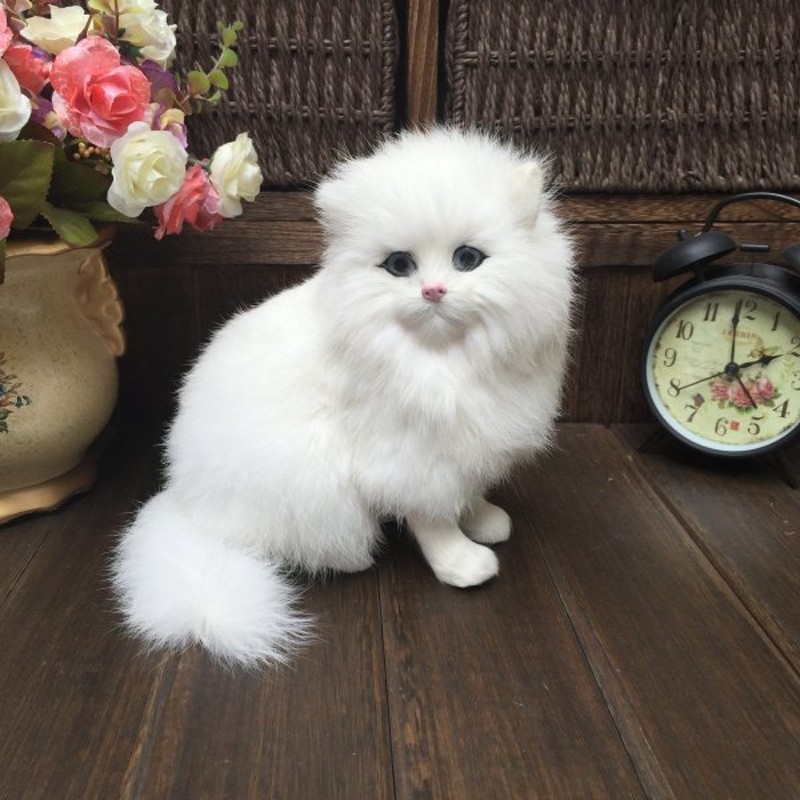 ぬいぐるみ 白 ペルシャ 猫 人形 模擬 かわいい リアル 毛皮 ポメラニアン 写真撮影 小道具 ホームインテリア 玩具 ギフト 通販 Lineポイント最大0 5 Get Lineショッピング