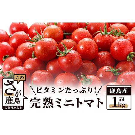 ふるさと納税  たにぐちファーム 完熟ミニトマト 約1kg 『Ricotomato とりこになるトマト』とまと トマト ミニトマト みずみずしい.. 佐賀県鹿島市