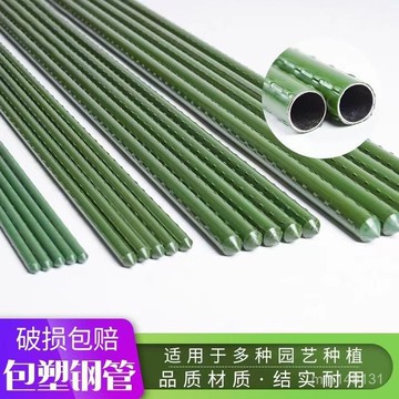 爬藤架 葡萄架 園藝支架 爬藤支架 黃瓜豆角架 種菜花支架 棚架 爬藤架戶外園藝爬藤花架耐磨包塑鋼管植物蔬菜支撐桿支架