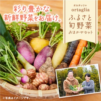 季節の旬野菜 10品 おまかせセット(農薬・化学肥料不使用(栽培期間中))　A-229