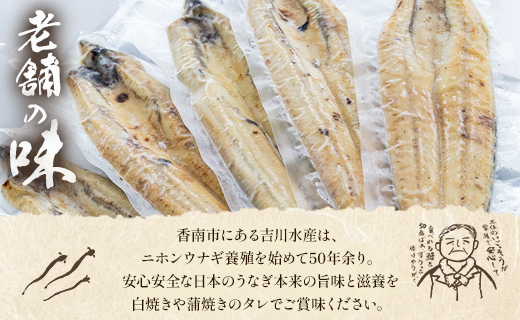 高知県産うなぎの白焼き 130～150ｇ×5尾 エコ包装 国産 うなぎ 白焼き 鰻 冷凍 高知 yw-0054