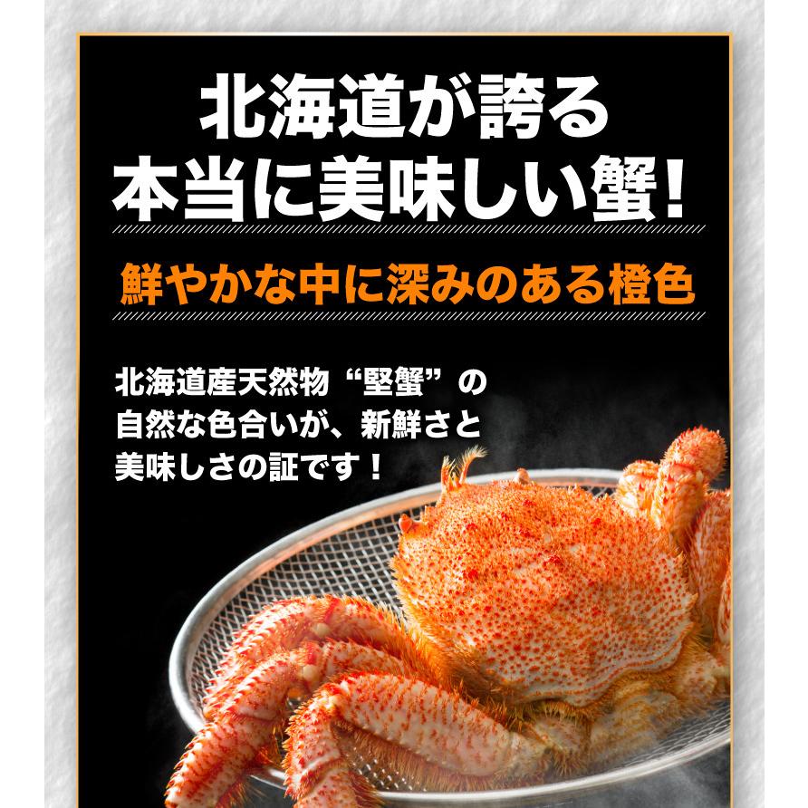 北海道産プレミアム毛蟹 毛ガニ 超特大約1kg（3特・4特）2杯 送料無料 産地直送 Y凍