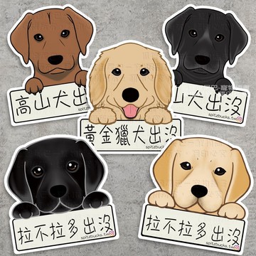 大型狗現貨 高山犬黃金獵犬出沒貼紙/拉布拉多拉不拉多犬 拉拉 黑拉拉 黃金 防曬防水貼紙  車貼 安全帽 行李箱 露營貼
