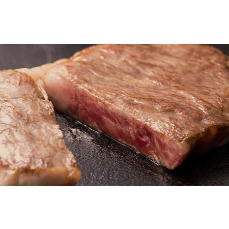 ふるさと納税 おかやま 和牛肉 A5 等級 満喫セット 合計約800g（サーロインステーキ 約450g＆すき焼・しゃぶしゃぶ用 ローススライス 約350g）.. 岡山県瀬戸内市