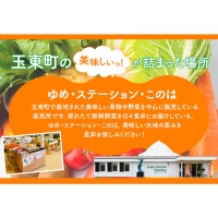  季節の野菜詰め合わせセット 8～10品目 《お申込み月の翌月から出荷開始》ゆめ・ステーション・このは 旬の野菜 キャベツ じゃがいも にんじん トマト 大根