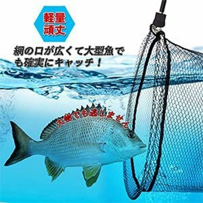人気商品ランキング 玉網 ランディングネット 小継玉の柄 伸縮タモ網 ガラス繊維製 コンパクト 淡水 海水両用 3.6m
