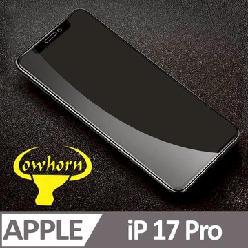 iPhone 17 Pro 2.5D曲面滿版 9H防爆鋼化玻璃保護貼 黑色