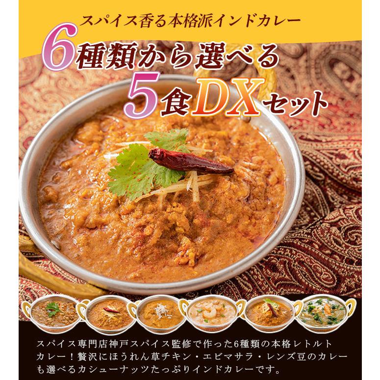 レトルトカレー 6種類から選べる インドカレー5食DXセット 180g×5品 簡易包装