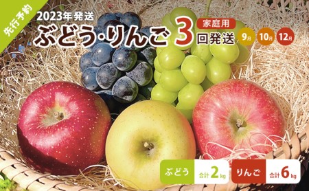 先行予約 ぶどうりんご家庭用3回発送（9・10・12月）（ぶどう合計約2kgりんご合計約6kg）2024年発送