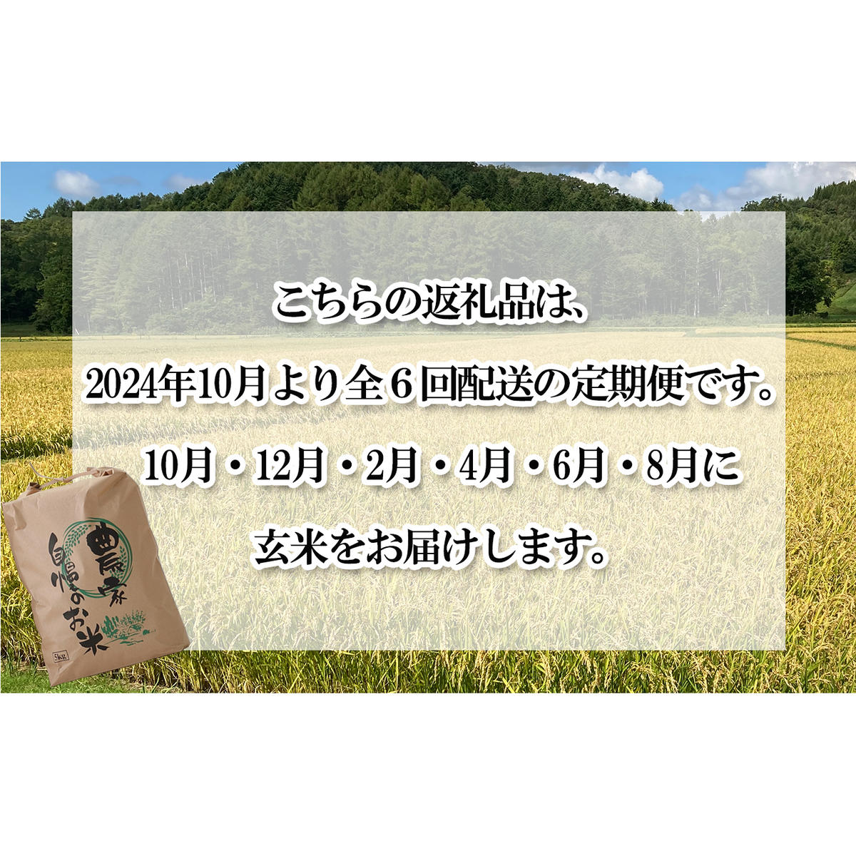 ＜ 予約 定期便 全6回 ＞ 北海道産 希少米 おぼろづき 玄米 5kg ＜2024年10月より配送＞