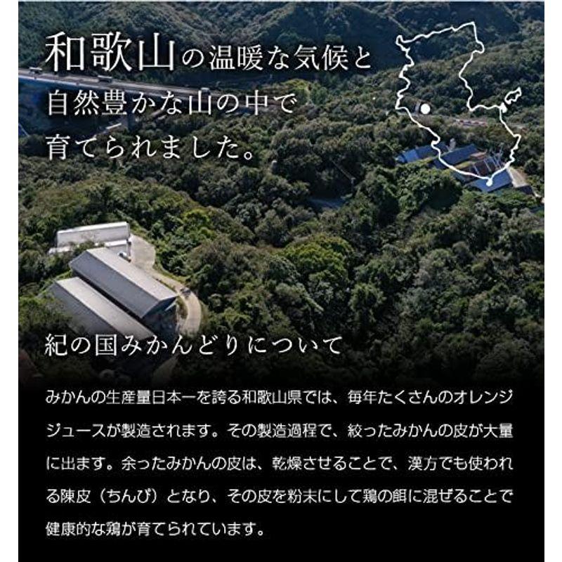 国産 鶏肉 鍋ギフト (和創食彩 楓 2?3人前) 和歌山県産 紀の国みかん鶏 鶏鍋セット お歳暮 お年賀