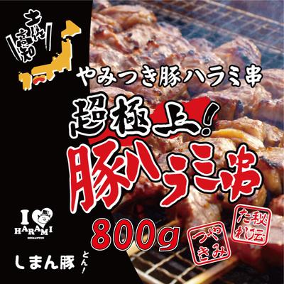 ふるさと納税 四万十市 秘伝のタレに漬け込んだ「しまん豚(とん)」のやみつき豚はらみ串10本(約800g)セットR5-039