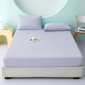 Ishur 伊舒爾 冰感S級冰科技親膚柔滑冰凍 Q-MAX≥0.492 吸濕透氣  床墊套 + 枕套組  182 x 188cm  雪青紫