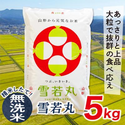 ふるさと納税 最上町 令和5年産山形県産雪若丸5kg