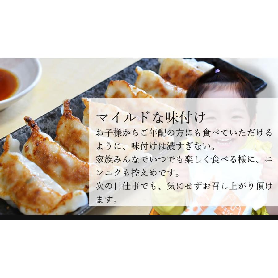 土下座餃子 博多ひとくち餃子 100個 (20個×5パック) 送料無料 餃子 ぎょうざ ギョウザ 冷凍 国産 福岡県産 博多一口餃子 博多名物