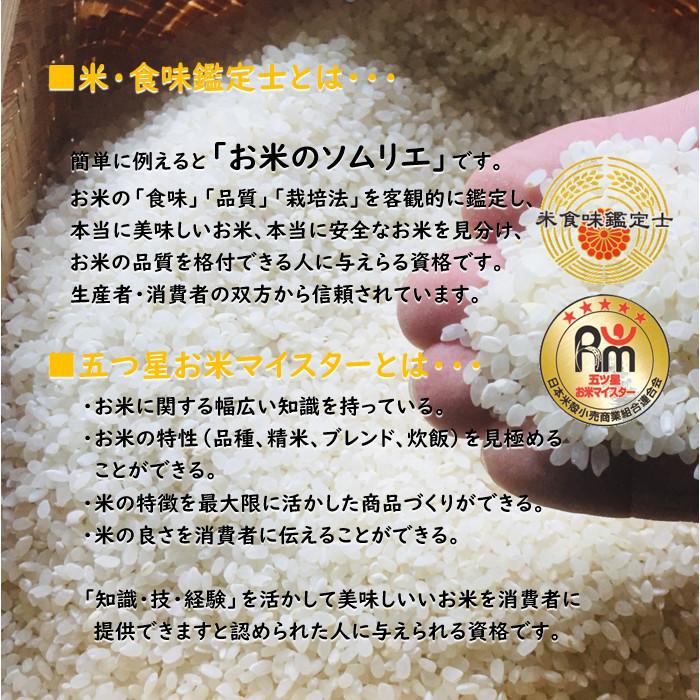 新米　田中米穀　新潟長岡産　こしひかり　5kg　　新潟県産　コシヒカリ　白米　ご飯　令和5年度産