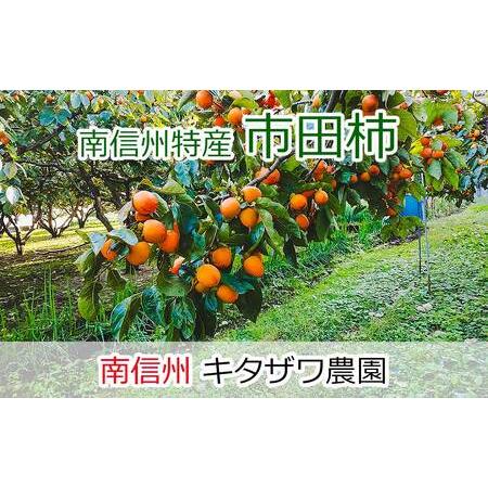 ふるさと納税 2023年12月末以降順次発送　市田柿　170g×4パック 長野県高森町