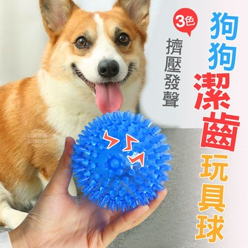 現貨 狗狗玩具球 耐咬玩具球 磨牙 發聲玩具 舒壓玩具 啾啾彈力球 TPR 拋接玩具 中大型犬 小型犬 福媽寵物