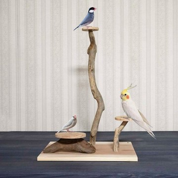 漂流木棲木【鳥 land 的搖籃曲】鳥架、棲木、漂流木、漂流木藝術、裝飾架、137