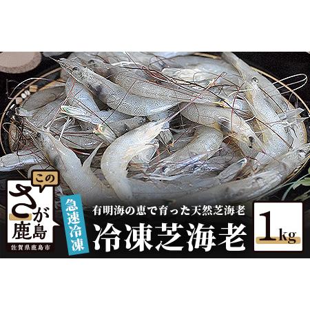 ふるさと納税  冷凍芝エビ（真エビ）１kg（500g×2パック）えび 海老 有明海  AA-9 佐賀県鹿島市