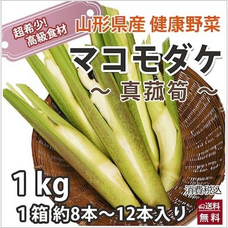 achi　マコモダケ苗　200本+α マコモタケ苗 マコモ苗　マコモダケ マコモダケ苗 200本以上 楽天市場】(100ポット)マコモタケ 10.5