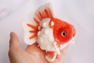 一個橙球面的大乒乓球