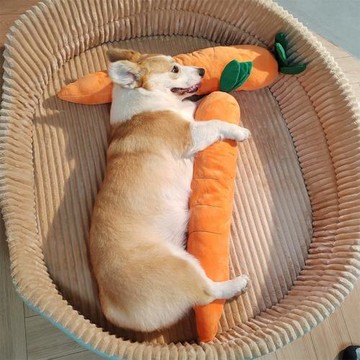 狗狗玩具自嗨解悶神器胡蘿卜磨牙耐咬發聲金毛柯基寵物狗小狗用榕