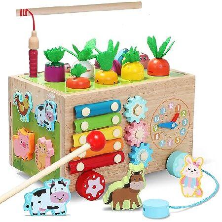 Wooden Activity Cube 10 in Montessori Toys for Years Old,Carrot