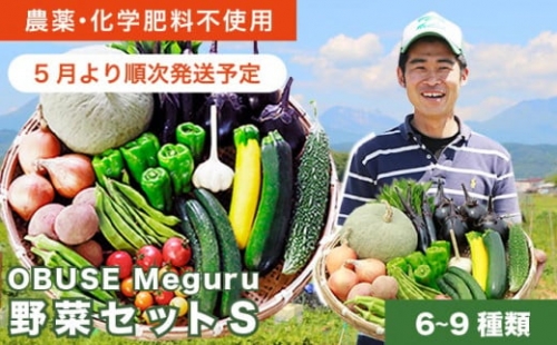 ［栽培期間中農薬・化学肥料不使用 ］OBUSE Meguru 野菜セット S 6～9種類 ［新規就農者応援コース 幸作会］野菜 詰め合わせ おまかせ やさい 詰合せ お楽しみ 長野県産 信州 ［K-226］