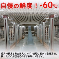 厳選 天然 本マグロ 中トロ 赤身 セット６００ｇ 以上 まぐろ 鮪 100% 冷凍 刺身 海鮮 丼 室戸