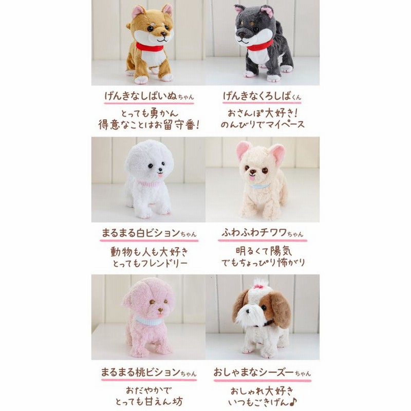 楽天市場】ぬいぐるみ 犬 白 マルチーズ リアル いぬ イヌ