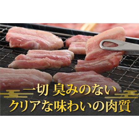 ふるさと納税 荒島ポーク バラ焼肉用 680g[A-054006] 福井県大野市