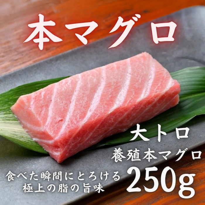 本マグロ 大トロ 250g