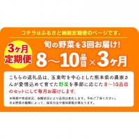  季節の野菜詰め合わせセット 8～10品目 《お申込み月の翌月から出荷開始》ゆめ・ステーション・このは 旬の野菜 キャベツ じゃがいも にんじん トマト 大根